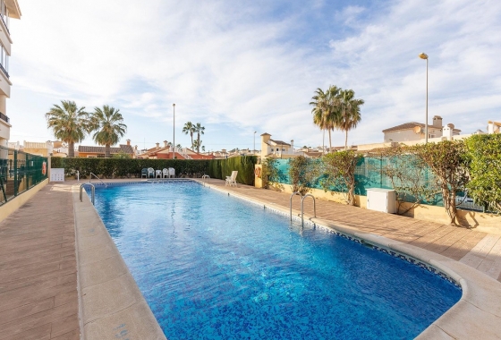 Herverkoop - Appartement / flat - Orihuela Costa