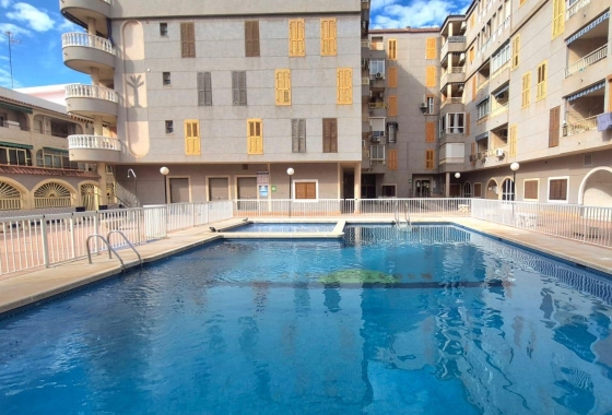 Herverkoop - Appartement / flat - Torrevieja - Acequion