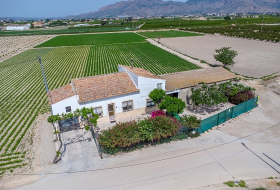 Revente - Finca - Orihuela - Desamparados-hurchillo-torremendo