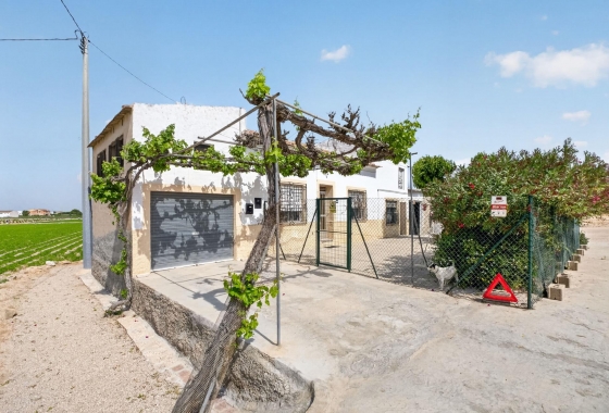 Revente - Finca - Orihuela - Desamparados-hurchillo-torremendo