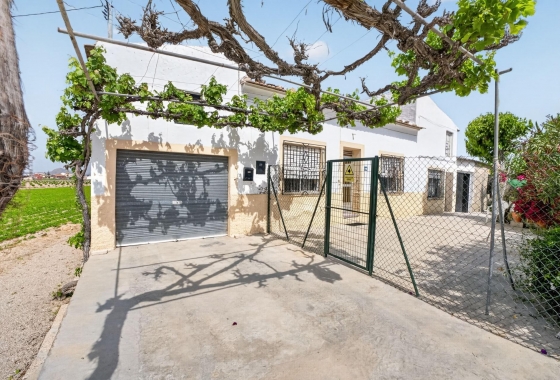 Revente - Finca - Orihuela - Desamparados-hurchillo-torremendo
