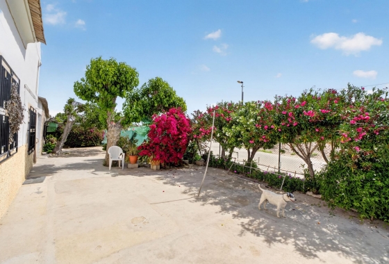 Revente - Finca - Orihuela - Desamparados-hurchillo-torremendo