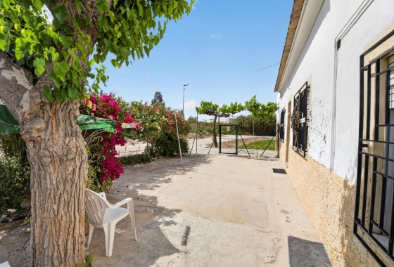 Revente - Finca - Orihuela - Desamparados-hurchillo-torremendo