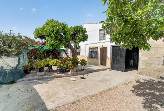 Revente - Finca - Orihuela - Desamparados-hurchillo-torremendo