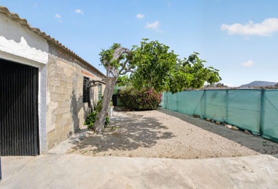 Revente - Finca - Orihuela - Desamparados-hurchillo-torremendo