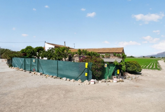 Revente - Finca - Orihuela - Desamparados-hurchillo-torremendo
