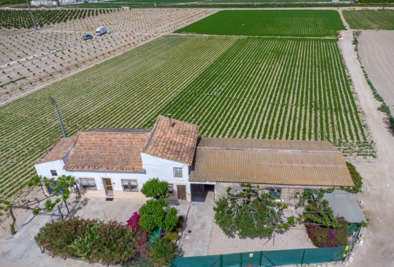 Revente - Finca - Orihuela - Desamparados-hurchillo-torremendo