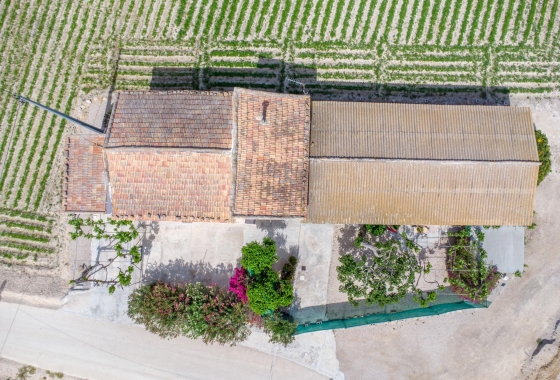 Revente - Finca - Orihuela - Desamparados-hurchillo-torremendo