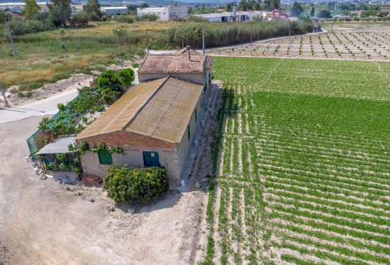 Revente - Finca - Orihuela - Desamparados-hurchillo-torremendo