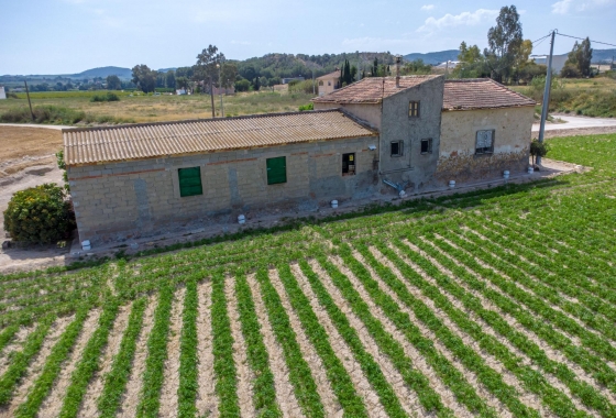 Revente - Finca - Orihuela - Desamparados-hurchillo-torremendo