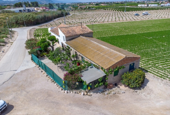Revente - Finca - Orihuela - Desamparados-hurchillo-torremendo