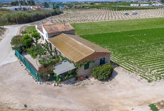 Revente - Finca - Orihuela - Desamparados-hurchillo-torremendo