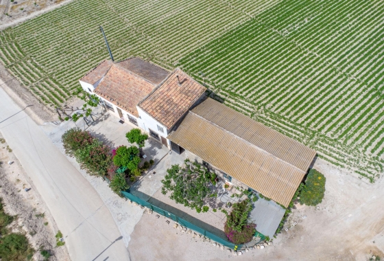 Revente - Finca - Orihuela - Desamparados-hurchillo-torremendo
