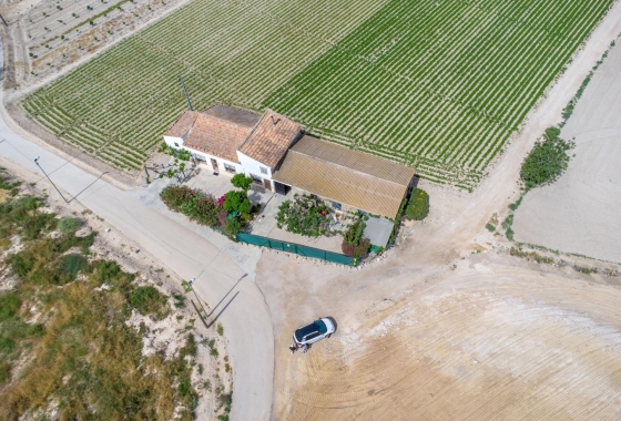 Revente - Finca - Orihuela - Desamparados-hurchillo-torremendo