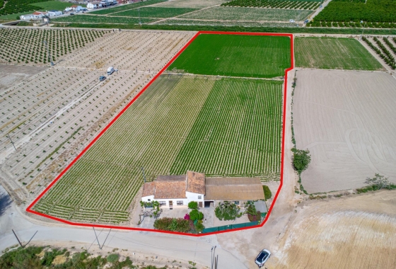 Revente - Finca - Orihuela - Desamparados-hurchillo-torremendo