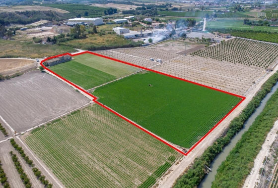 Revente - Finca - Orihuela - Desamparados-hurchillo-torremendo