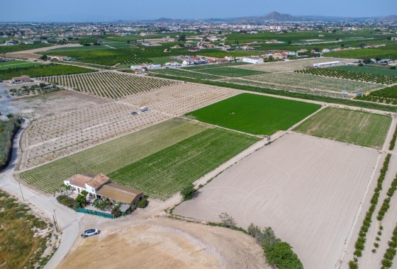 Revente - Finca - Orihuela - Desamparados-hurchillo-torremendo