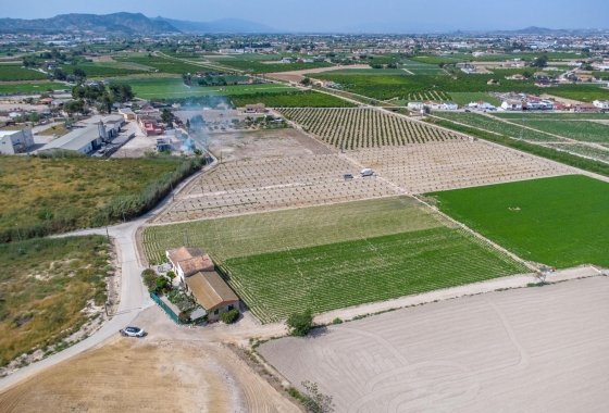 Revente - Finca - Orihuela - Desamparados-hurchillo-torremendo