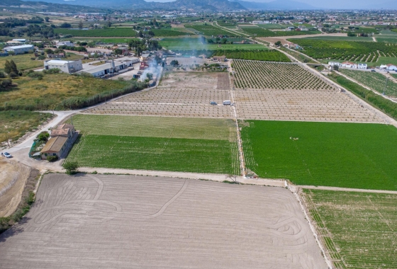 Revente - Finca - Orihuela - Desamparados-hurchillo-torremendo