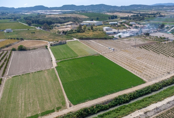 Revente - Finca - Orihuela - Desamparados-hurchillo-torremendo