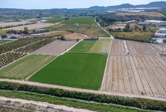 Revente - Finca - Orihuela - Desamparados-hurchillo-torremendo