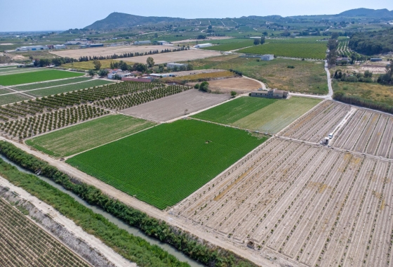 Revente - Finca - Orihuela - Desamparados-hurchillo-torremendo