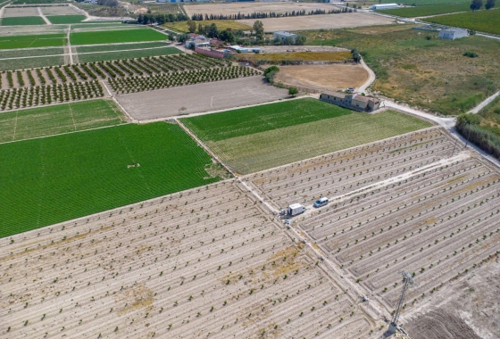 Revente - Finca - Orihuela - Desamparados-hurchillo-torremendo