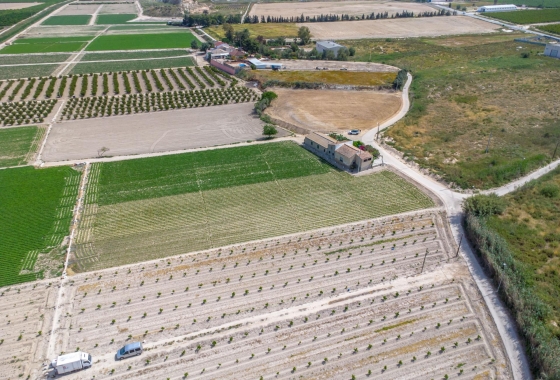 Revente - Finca - Orihuela - Desamparados-hurchillo-torremendo