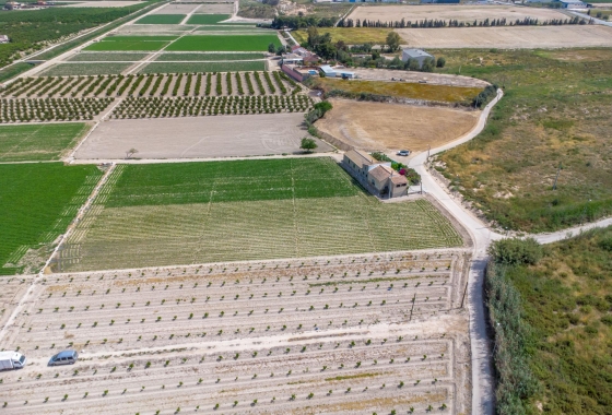 Revente - Finca - Orihuela - Desamparados-hurchillo-torremendo