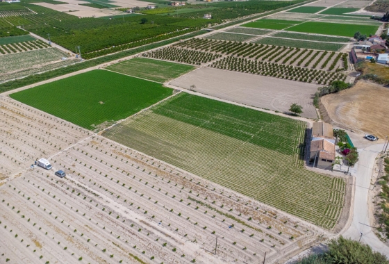 Revente - Finca - Orihuela - Desamparados-hurchillo-torremendo