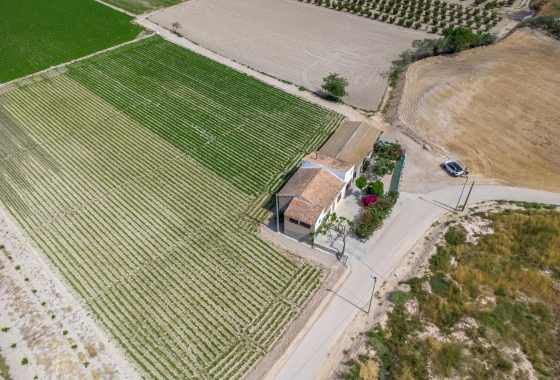 Revente - Finca - Orihuela - Desamparados-hurchillo-torremendo