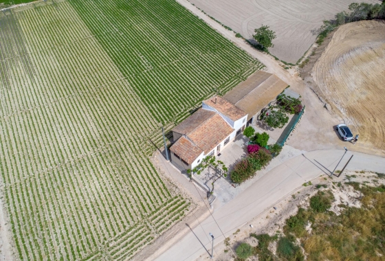Revente - Finca - Orihuela - Desamparados-hurchillo-torremendo