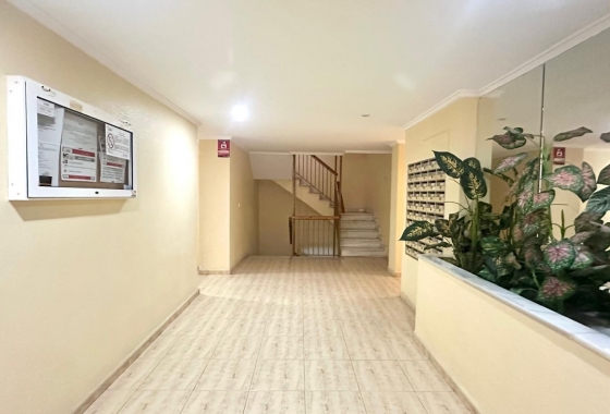 Revente - Appartement - Torrevieja - Acequion