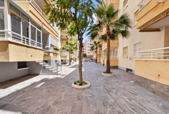 Herverkoop - Appartement / flat - Torrevieja - Costa Blanca