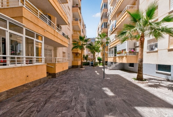Herverkoop - Appartement / flat - Torrevieja - Costa Blanca