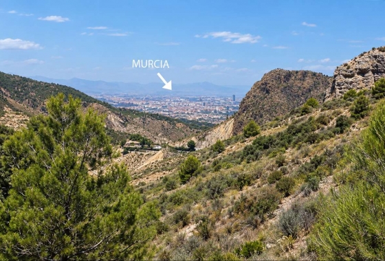 Herverkoop - Finca - Gea Y Truyols - Inland
