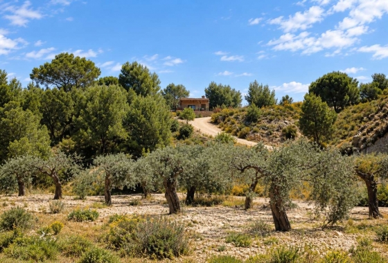 Herverkoop - Finca - Gea Y Truyols - Inland