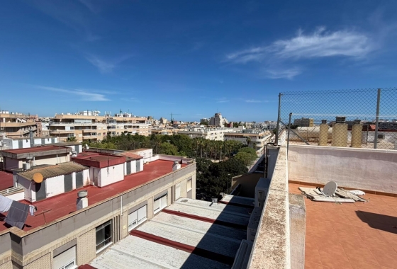 Herverkoop - Appartement / flat - Torrevieja - Playa del Cura
