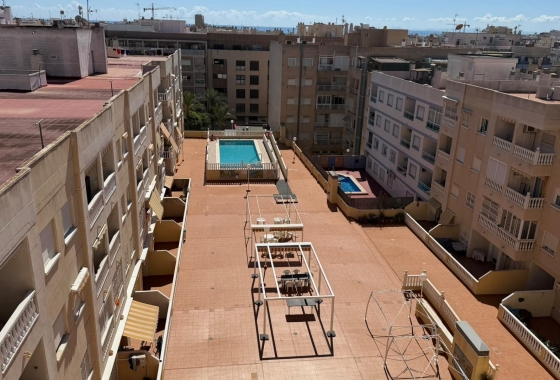 Herverkoop - Appartement / flat - Torrevieja - Playa del Cura
