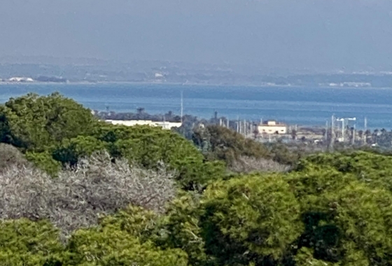 Новостройка - Квартира - Guardamar del Segura - Centro