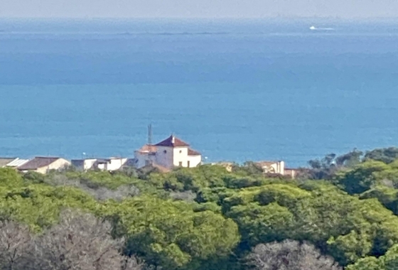 Новостройка - Квартира - Guardamar del Segura - Centro