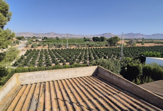 Перепродажа - Вилла - Orihuela - Inland