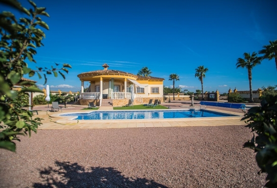 Återförsäljning - Villa - Catral - Costa Blanca
