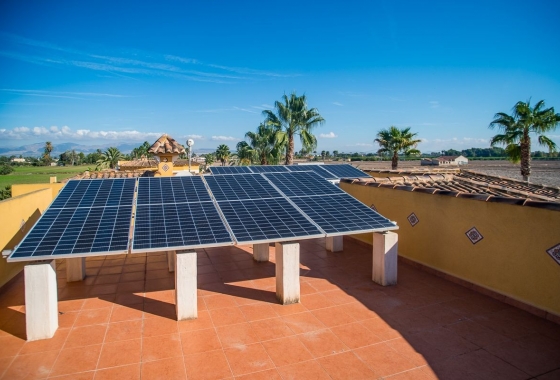 Återförsäljning - Villa - Catral - Costa Blanca
