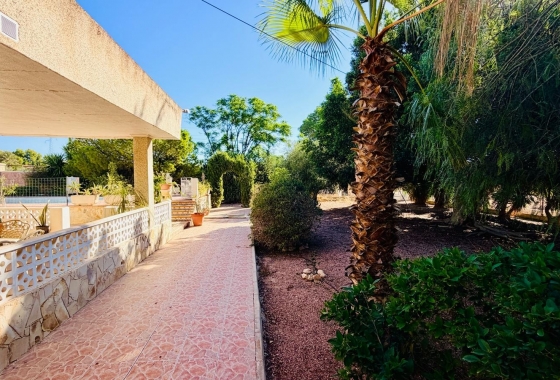 Перепродажа - Вилла - Crevillente - Inland