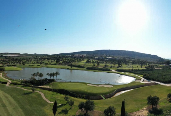 Перепродажа - Квартира - Algorfa - Inland