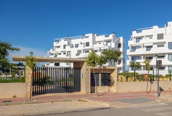 Återförsäljning - Lägenhet / lägenhet - Torre Pacheco - Dolores De Pacheco-santa Rosalía