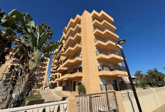 Resale - Apartment / flat - La Mata - Los Europeos
