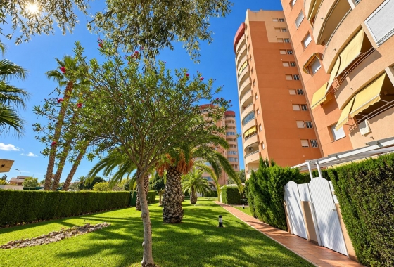 Перепродажа - Квартира - Orihuela Costa - Campoamor