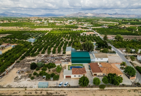 Перепродажа - Вилла - Orihuela - Inland